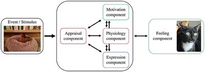 Emotion Recognition in a Multi-Componential Framework: The Role of Physiology